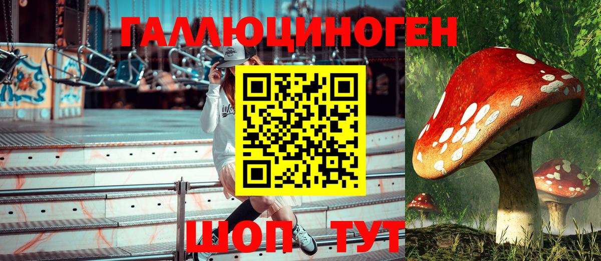 Галлюциногенные грибы Psilocybine cubensis  Галлюциногенные грибы ЛСД  Вход с VPN  Мариинск 